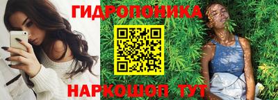 крисы Канаш