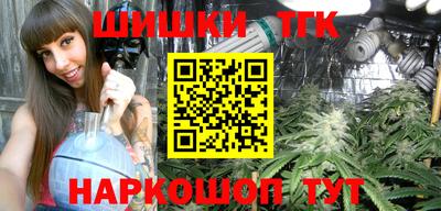 apvp Камышлов