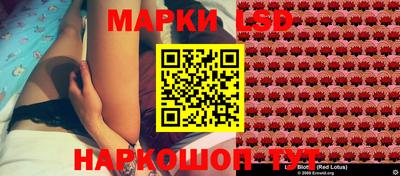 apvp Камышлов